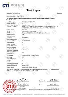 Relatório de teste ambiental branco e preto da EVA